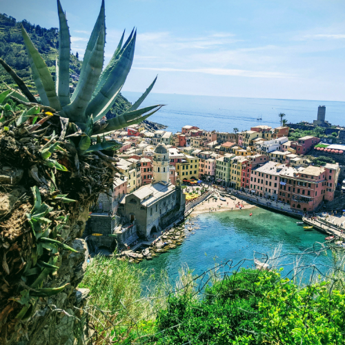 Joy Behind the Stacks